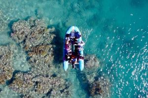 Glass-bottom boat tour with Whitehaven Beach - Local Tourism