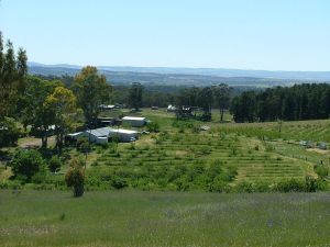 Taralee Orchards - Local Tourism